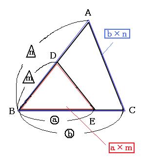 面積と辺の比の関係を解説 図形の面積と辺の比の関係はテントやドリルで面積を求める